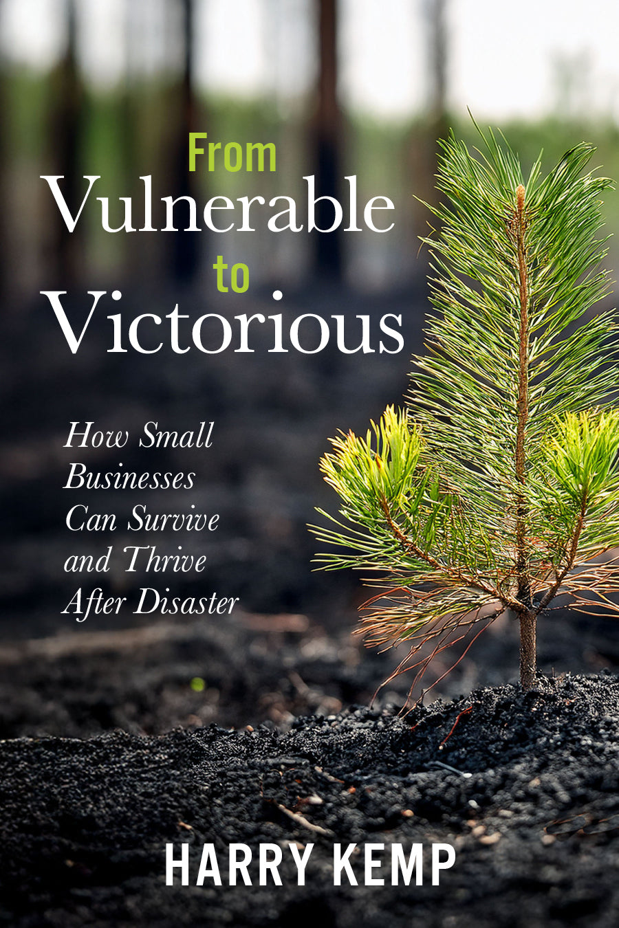 From Vulnerable to Victorious: How Small Businesses Can Survive and Thrive After Natural Disasters
